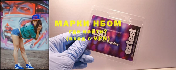 дурь Алексин