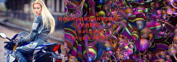 дурь Алексин