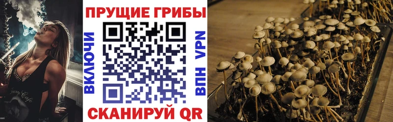 Псилоцибиновые грибы Magic Shrooms  OMG ссылка  нарко площадка клад  Троицк 