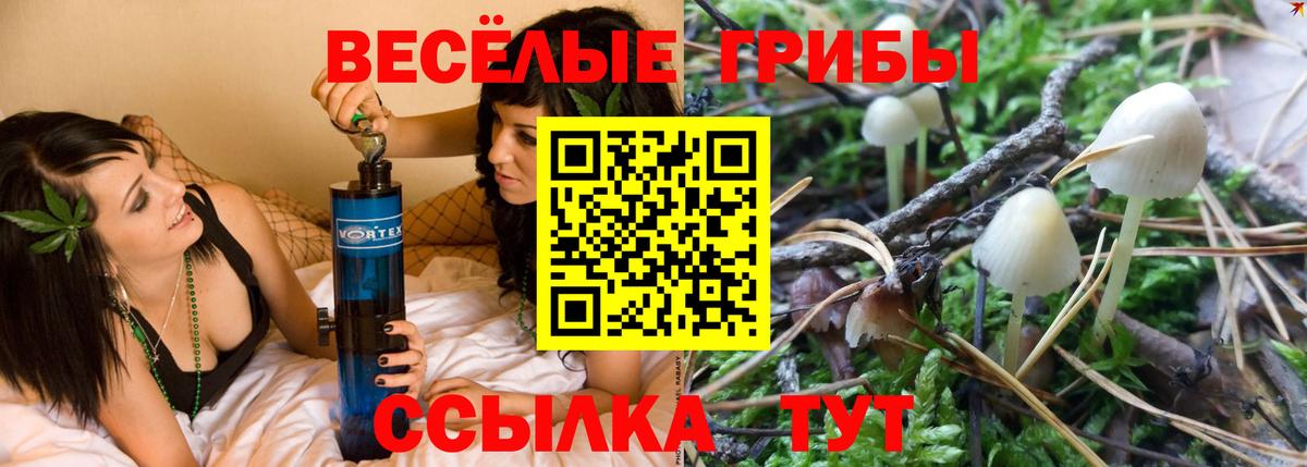 Галлюциногенные грибы ЛСД  продажа наркотиков  Троицк  Вход с VPN 